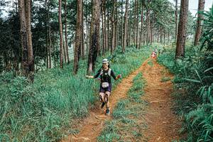 BIB: 
                            <button type="button" onclick="openModal(25680757)" class="btn btn-primary btn-sm float-right btn-popup" data-toggle="modal" data-target=".modal-high-quality">
                        <i class="fas fa-shopping-cart"></i> Add to Cart
                    </button>
                                            <button type="button" onclick="isThisMe(25680757, true)" class="btn btn-success btn-sm float-right btn-popup btn-isme hidden" data-toggle="tooltip" data-placement="bottom" title="นี่คือรูปของคุณใช่ไหม คลิกที่นี่เพื่อเอาเข้าอัลบั้ม">
                        <i class="fas fa-plus"></i> Add to album
                    </button>
                    <button type="button" onclick="isThisMe(25680757, false)" class="btn btn-warning btn-sm float-right btn-popup btn-isnotme hidden">
                        <i class="fas fa-ban"></i> Remove from album
                    </button>